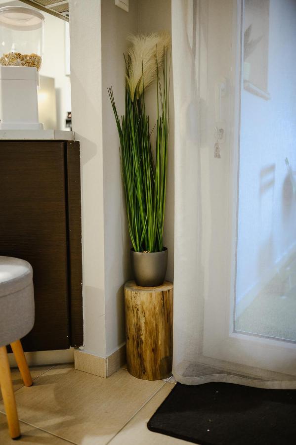Appartamento Le Petit Jardin #2 Volos Esterno foto